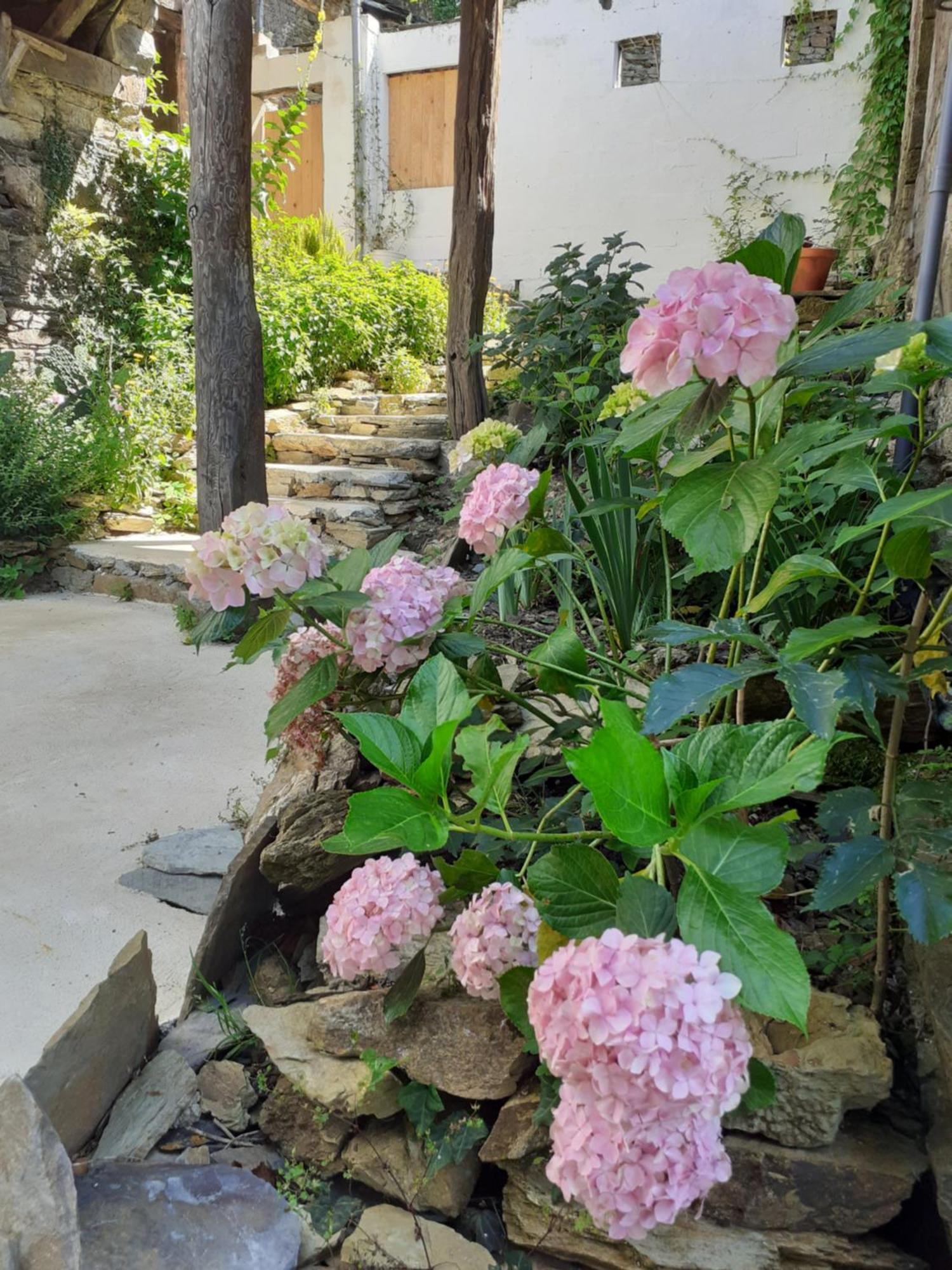 Sons Do Eo Apartamentos Turisticos Baleira Dış mekan fotoğraf